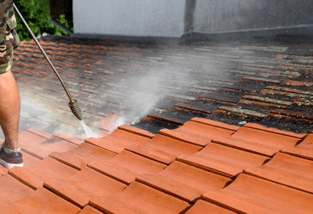 Best Roof Power Washing Services  in Marshallville, GA