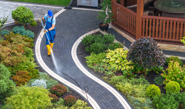 Best Pressure Washing Brick  in Marshallville, GA